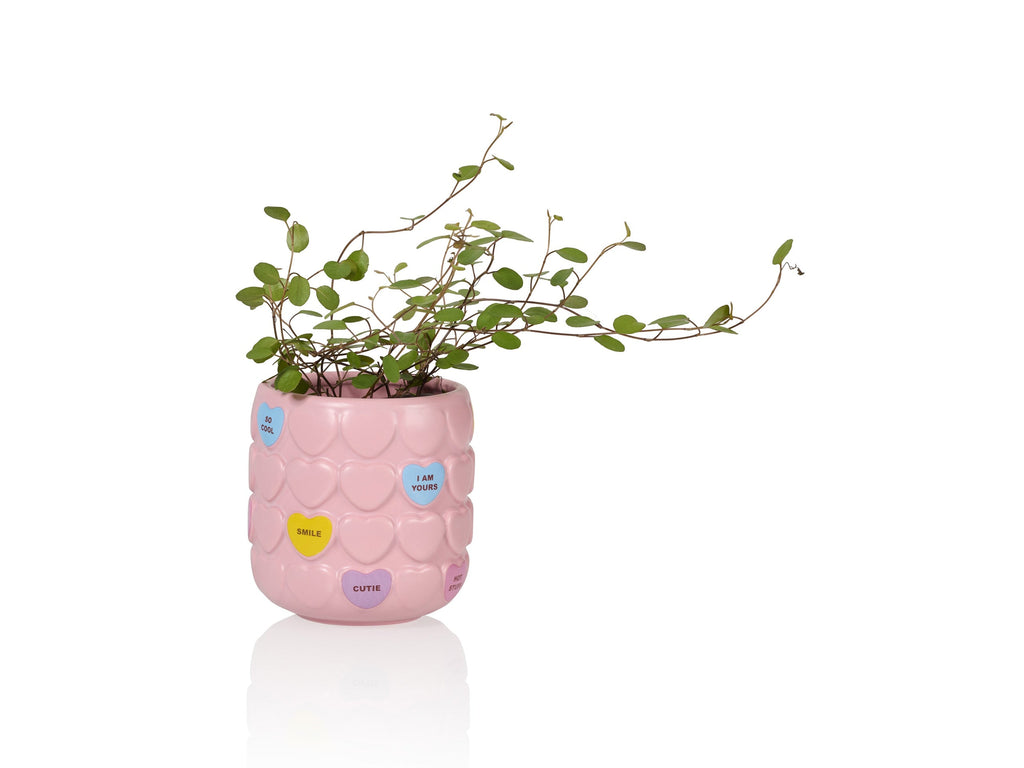 Mug Sweet Heart Rose – Bitten