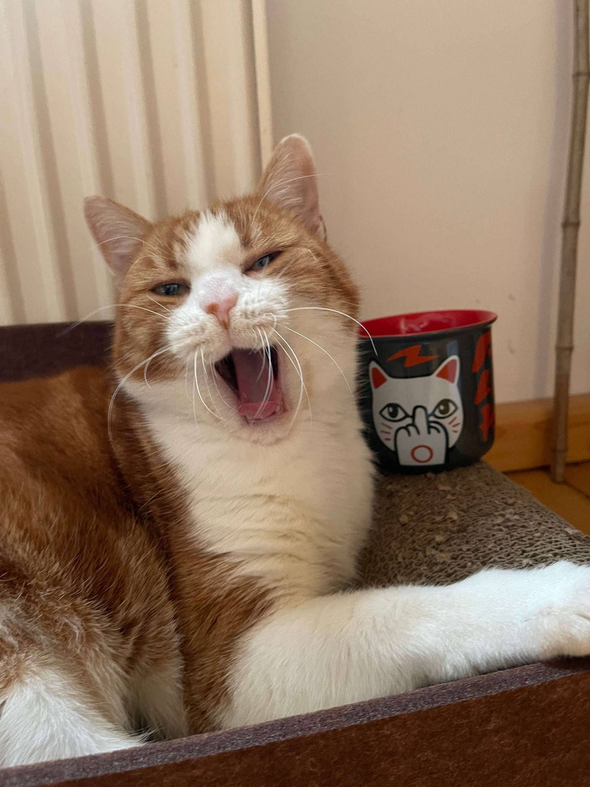 Mug Chat chanceux « F**k You Neko » – 375 ml