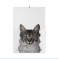 Torchon Mozart le Chat
