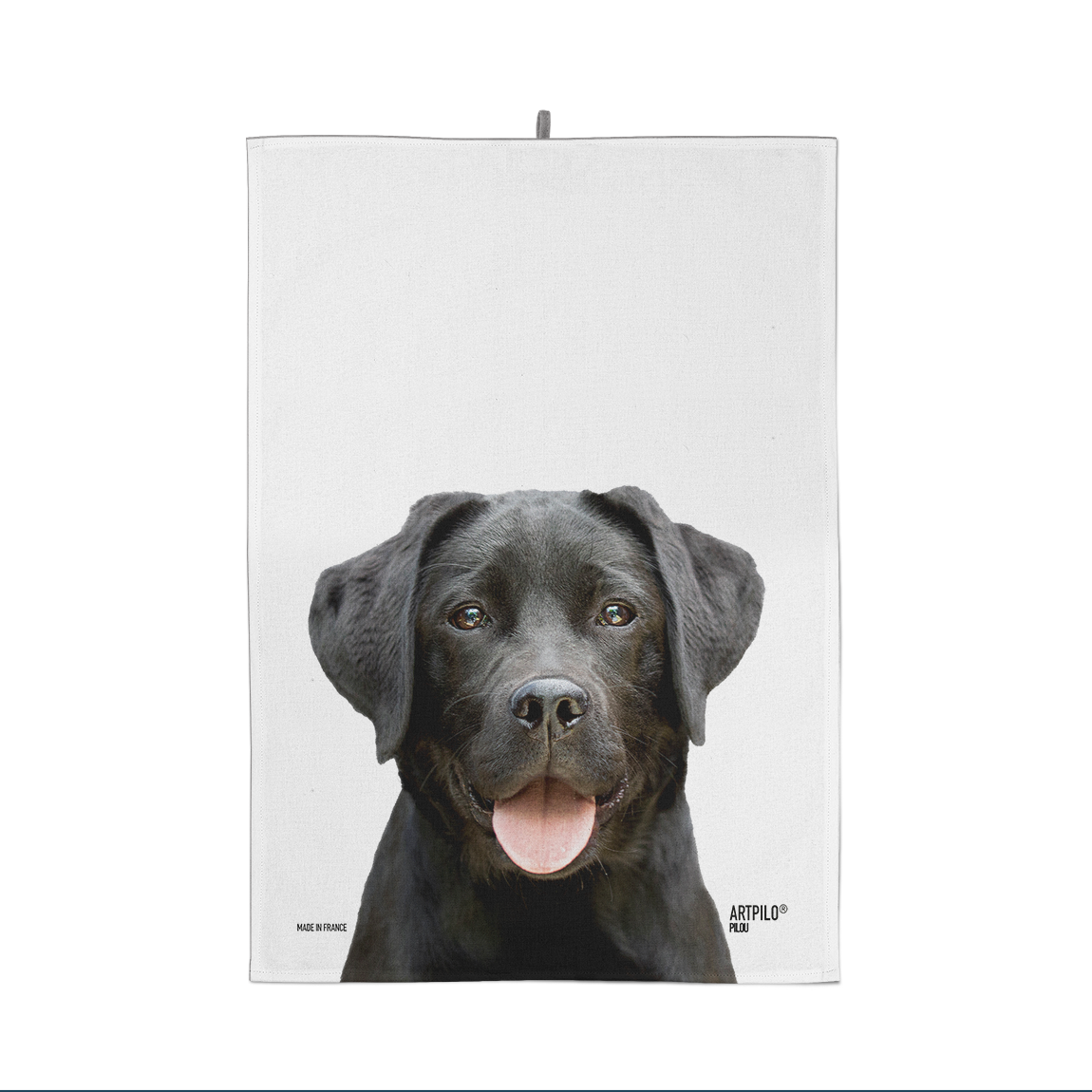 Torchon Pilou le Labrador
