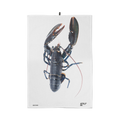 Torchon Omar le Homard Bleu