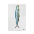 Torchon Nadine la Sardine