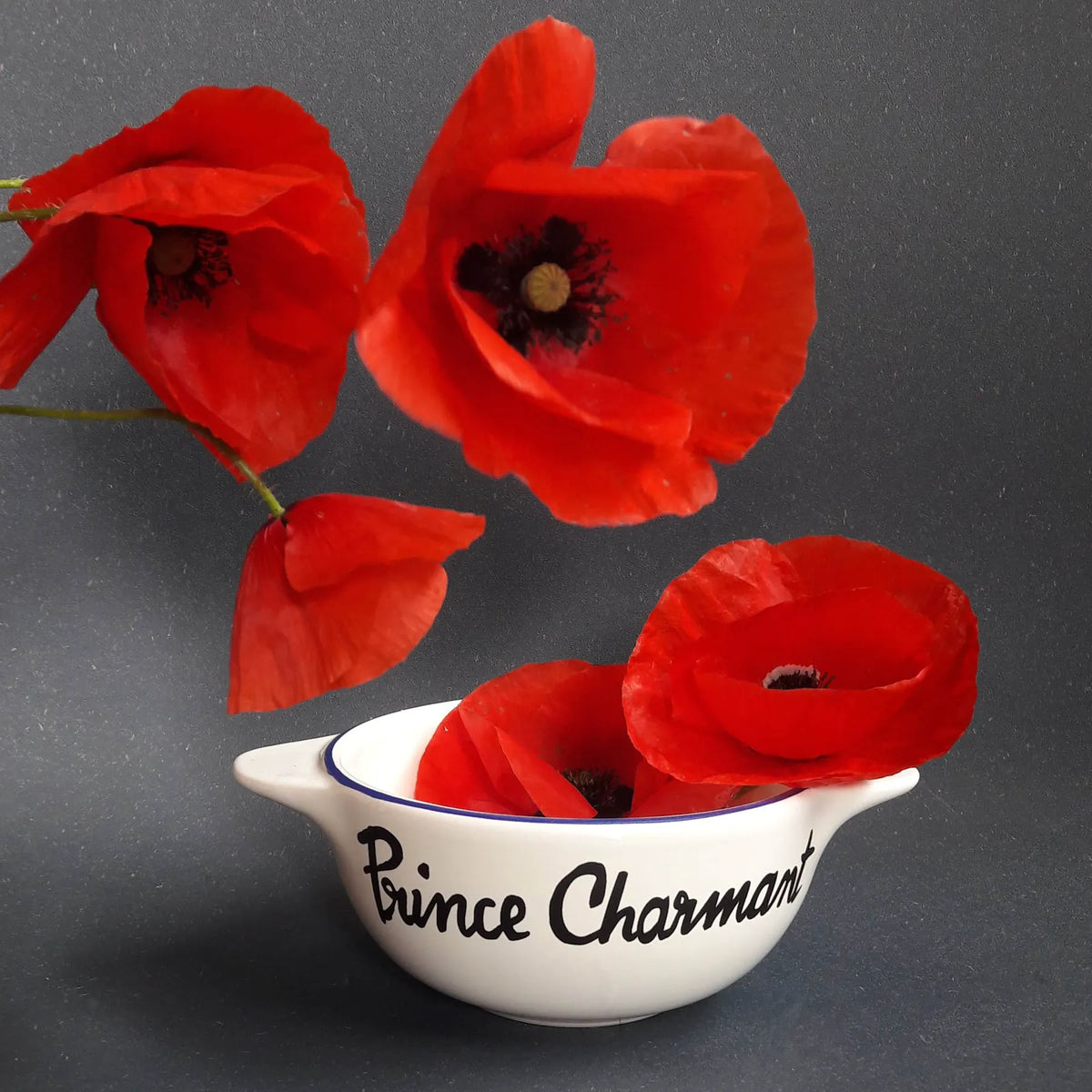 Bol Breton Prince Charmant – vue produit 2