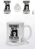 HARRY POTTER Mug 300 ml Undesirable N° 1