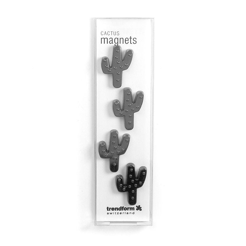 Magnets Cactus Gunmetal – vue produit 3