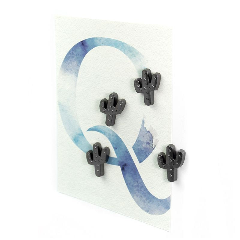 Magnets Cactus Gunmetal – vue produit 4