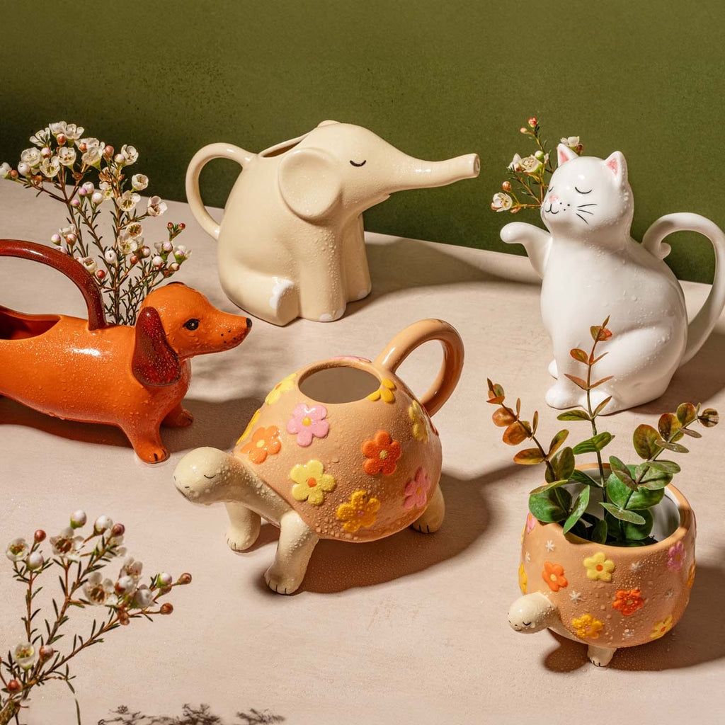 Arrosoir Chat