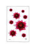 Torchon Lotus