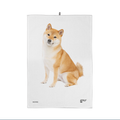 Torchon Shiba
